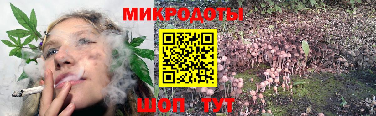Псилоцибиновые грибы ЛСД Краснодар